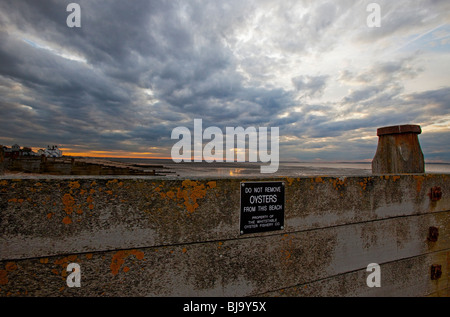 Surrounding wall at sunset,  Neptune Pub,Whitstable Beach, Whitstable, Kent, England Stock Photo