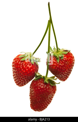 ripe red strawberries with stems and leaves isolated on white background Stock Photo