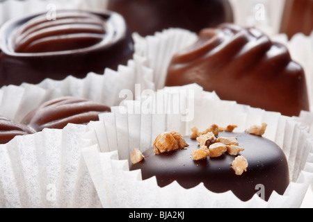 assortment of delicious dark chocolate pralines Stock Photo