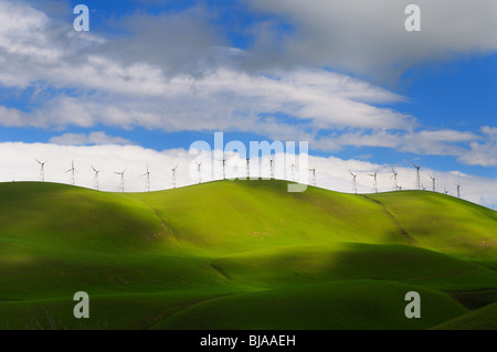 Winter sun on the rolling green hills of the Altamont Pass turbines wind farm in California USA Stock Photo