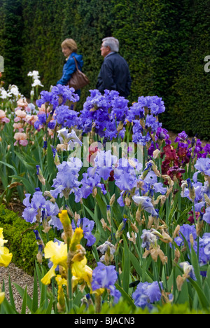 Woman in Garden, Paris, France, Urban Parks, Spring Landscape, Senior Couple Visiting "Bois de Boulogne" Bagatelle French Flowers, Stock Photo