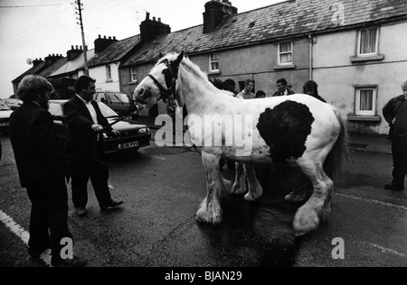 Ballinasloe horse fair County Galway Ireland Stock Photo