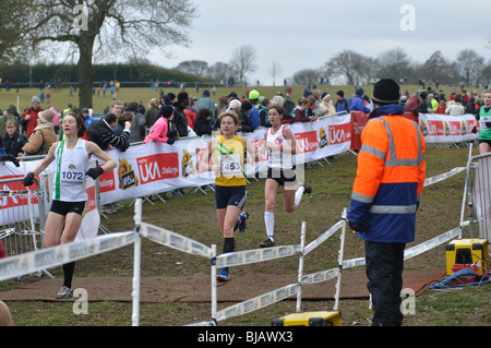 Women runners finishing cross-country race at Cofton Park, Birmingham, UK Stock Photo