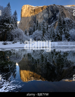 Sunrise on El Capitan mountain in winter reflected in the Merced River with snow covered trees at Cathedral Beach Yosemite National Park California