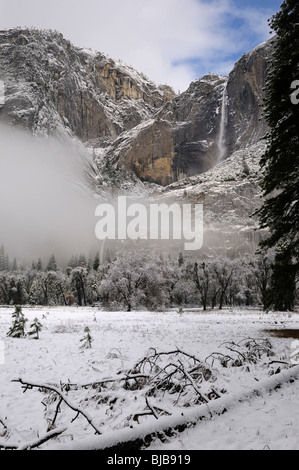 View of Yosemite Falls from Cooks Meadow after a clearing snow storm Stock Photo