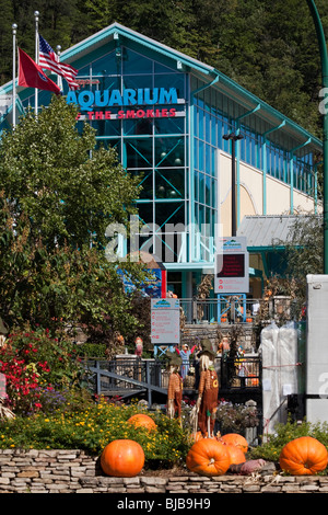 The city Gatlinburg Tennessee TN  in the main city street pictures images photos very high resolution vertical format in USA US hi-res Stock Photo