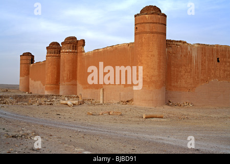 Qasr al-Heer al-Sharqi, palace of Umayyad caliph Hisham ibn Abd al-Malik (724-743), Syria Stock Photo