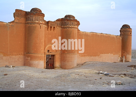 Qasr al-Heer al-Sharqi, palace of Umayyad caliph Hisham ibn Abd al-Malik (724-743), Syria Stock Photo