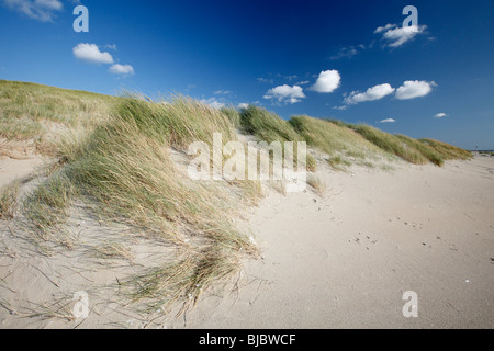 Sand Dunes, Texel Island, Holland Stock Photo