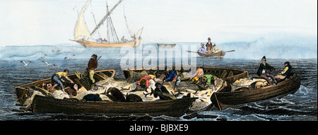 Fishing boats circling a school of tuna to catch them in nets, 1800s. Hand-colored engraving Stock Photo