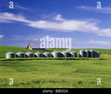 WASHINGTON - Barn and grain silos among the fields of the fertile Palouse Region of Eastern Washington. Stock Photo