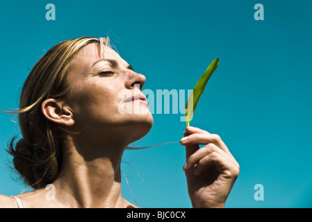 Fresh scent of nature Stock Photo