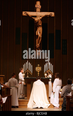 Priest celebrating the veneration of the Eucharist Stock Photo