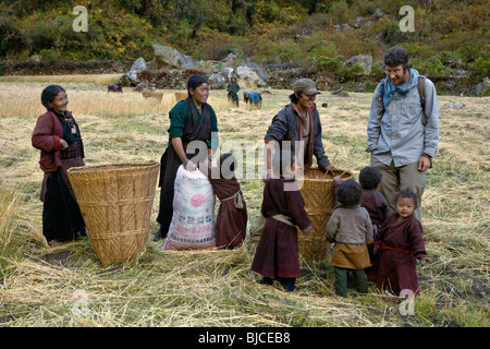 Bodhi Garrett visits with Nepali villagers harvest WHEAT in NUPRI - AROUND MANASLU TREK, NEPAL Stock Photo