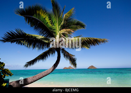 Lanikai Beach, Mokulua Islands, Kailua, Oahu, Hawaii Stock Photo