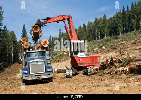 Loading a Logging Truck Stock Photo