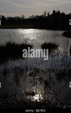 A local pond on West Common part of Gerrards Cross common a public amenity to all Stock Photo