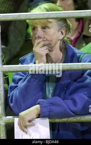 Farmers watching the auction at the UK's first organic stock sale which was held at Brecon Livestock Market, Powys, South Wales Stock Photo