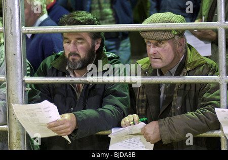 Farmers watching the auction at the UK's first organic stock sale which was held at Brecon Livestock Market, Powys, South Wales Stock Photo