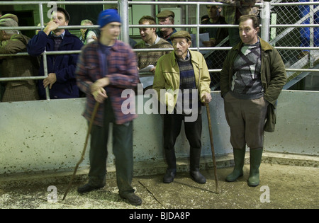 Farmers watching the auction at the UK's first organic stock sale which was held at Brecon Livestock Market, Powys, South Wales Stock Photo