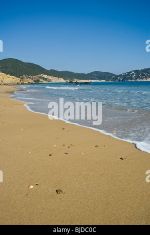 General view of the beach of Cala Es Figueral, Ibiza, Spain Stock Photo