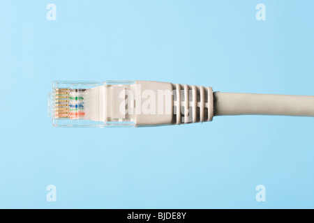 Net cable connector close up Stock Photo