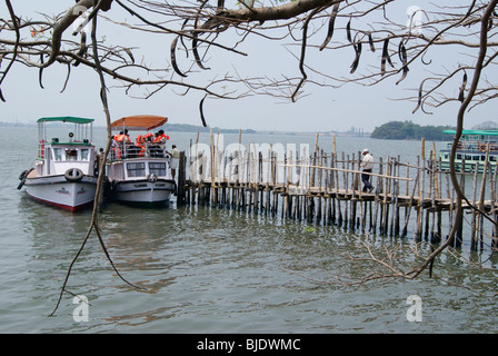 Tourist Boats Waiting in the Marine Drive Ducks in Cochin Kerala Backwaters India.Marine Drive Kochi Backwater Scenery Stock Photo