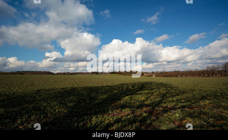 Tree shadow across farm field in the Chiltern Hills Oxfordshire England UK Stock Photo