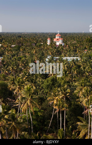 India, Kerala, Kollam, elevated view of Infant Jesus pro-Cathedral spire emerging from coconut trees Stock Photo