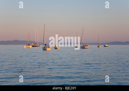 Hyères, Provence, France. Yachts anchored in the bay off the Presqu'île de Giens, sunset. Stock Photo