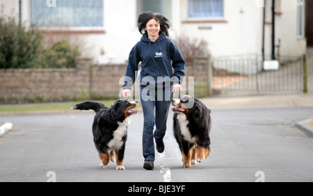 Sandy Rothery from Sompting in Sussex with two of her prize winning Bernese Mountain Dogs which had just won at Crufts 2010 Stock Photo