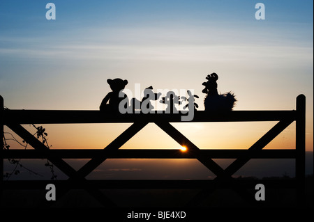 Rag doll, chicken, fox, rabbit and bear soft toys sitting on a gate at sunset in the English countryside. Silhouette Stock Photo