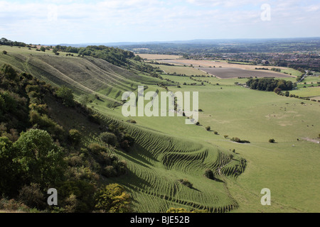 View of terracettes from Westbury White Horse, Westbury, Wiltshire, England, UK Stock Photo
