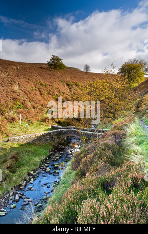 Derbyshire Bridge and the River Goyt, Goyt Valley, Peak District National Park, Derbyshire, England, UK Stock Photo