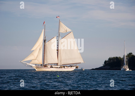 The windjammer Schooner HERITAGE under full sail in Camden Harbor, Maine Stock Photo