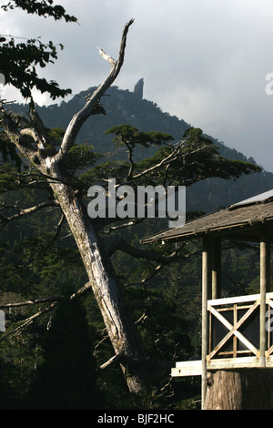 The 40metre high Tenchuseki boulder, on top of Tatchudake mountain, Yakushima Island, Japan. Stock Photo