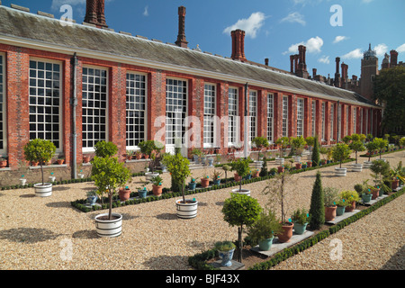 The Lower Orangery Exotics Garden at Hampton Court Palace, Richmond Upon Thames, England. Stock Photo