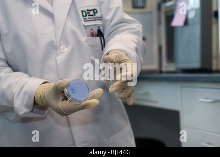 A Dept. of Environmental Protection employee displays samples at the Newtown Creek Sewage Treatment Plant's new microbiology lab Stock Photo