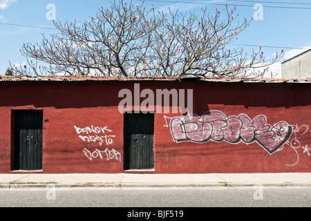 beautiful red plaster street wall with graffiti black painted plank doors topped with corrugated tin roof & red blossoming tree Stock Photo