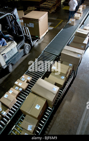 Boxes On Conveyor Belt In Warehouse, Philadelphia, Pennsylvania, USA Stock Photo