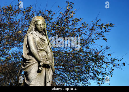 Statue of a woman in mourning against a background of branches and a blue sky. Stock Photo