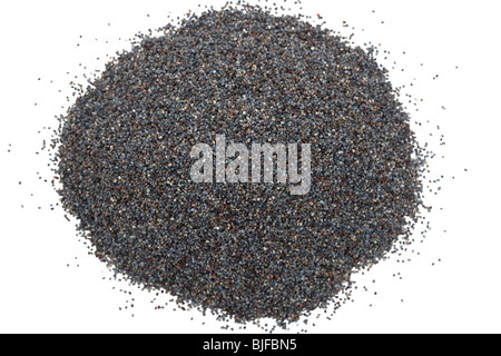 Pile of blue poppy seeds Stock Photo