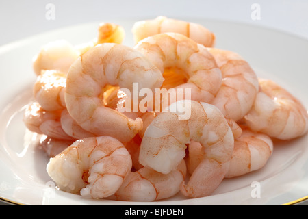 Plate of large prawns Stock Photo