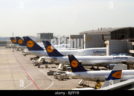 Lufhansa planes at the airport in Frankfurt am Main, Germany Stock Photo