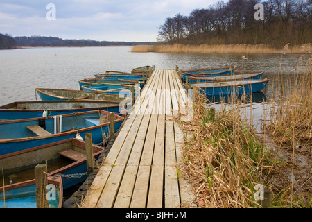 Landing stage on Ormesby Little Broad, Norfolk, England Stock Photo