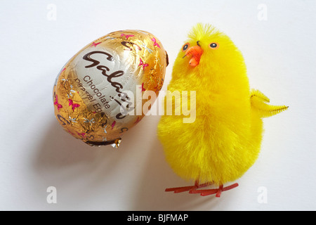 Galaxy mini Chocolate Caramel easter egg with fluffy chick - ready for Easter Stock Photo