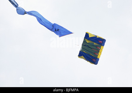 Blue and yellow Kite flying high in sky with trailing tail Stock Photo