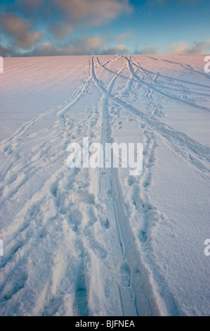 Tracks in snow covered ground in a heavy Winter snowfall on farmland. Stock Photo