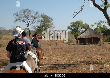 Horse riding Safari. Livingstone, Zambia, Africa © Demelza Cloke Stock Photo