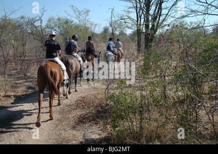 Horse riding Safari. Livingstone, Zambia, Africa © Demelza Cloke Stock Photo